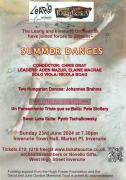 Summer Dances poster